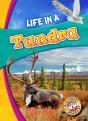 Life In A Tundra - Preview