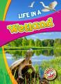 Life In A Wetland - Preview