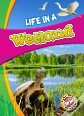 Life In A Wetland