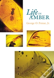 Capa do artigo Life In Amber