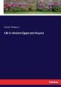 Life In Ancient Egypt And Assyria - Preview