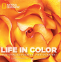 Life In Color Mini - Preview