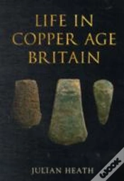 Capa do artigo Life In Copper Age Britain
