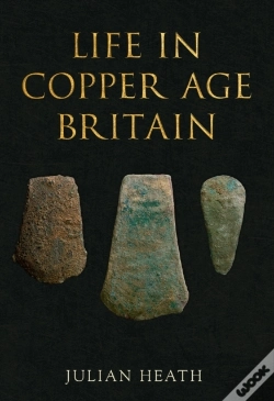 Capa do artigo Life In Copper Age Britain