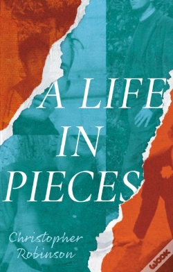 Capa do artigo Life In Pieces