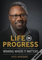 Capa do artigo Life In Progress