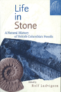 Life In Stone - Preview
