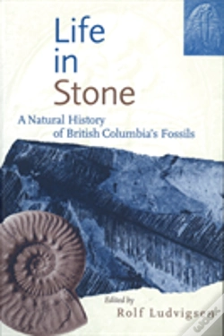 Capa do artigo Life In Stone