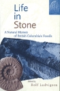 Life In Stone - Preview