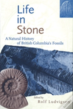 Capa do artigo Life In Stone