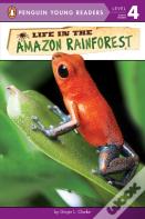 Life In The Amazon Rainforest