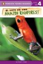 Life In The Amazon Rainforest - Preview