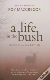 Capa do artigo Life In The Bush