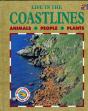 Life In The Coastlines - Preview