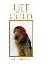 Life In The Cold - Preview