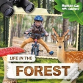 Life In The Forest