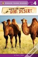 Life In The Gobi Desert