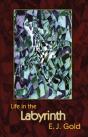 Life In The Labyrinth - Preview