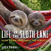 Capa do artigo Life In The Sloth Lane