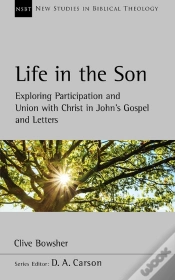 Capa do artigo Life In The Son