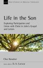 Life In The Son - Preview