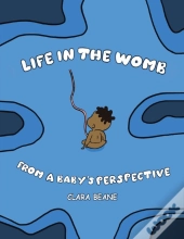 Life In The Womb From A Baby'S Perspecti