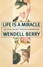 Life Is A Miracle - Preview