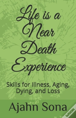 Capa do artigo Life Is A Near Death Experience