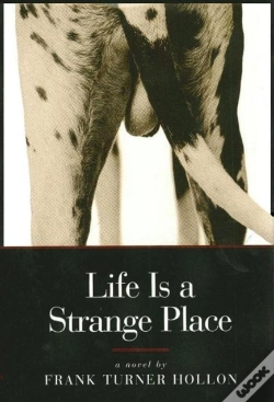 Capa do artigo Life Is A Strange Place