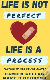 Capa do artigo Life Is Not Perfect  It