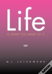 Capa do artigo Life Is What You Make Of It