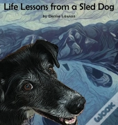 Life Lessons From A Sled Dog