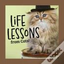 Life Lessons From Cats