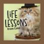 Life Lessons From Cats - Preview