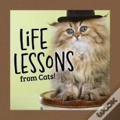 Capa do artigo Life Lessons From Cats