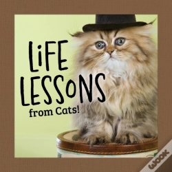 Capa do artigo Life Lessons From Cats