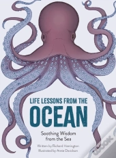 Life Lessons From The Ocean