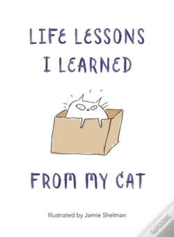Capa do artigo Life Lessons I Learned From My Cat