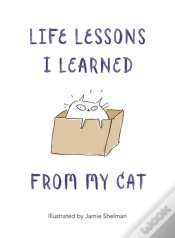 Capa do artigo Life Lessons I Learned From My Cat