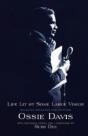 Life Lit By Some Large Vision - Preview