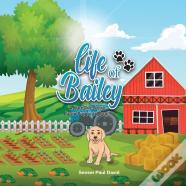 Life Of Bailey