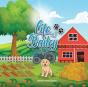 Life Of Bailey - Preview
