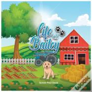 Life Of Bailey