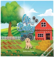 Capa do artigo Life Of Bailey