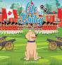 Life Of Bailey - Preview