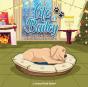 Life Of Bailey - Preview