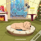 Capa do artigo Life Of Bailey