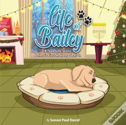 Capa do artigo Life Of Bailey