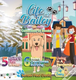 Capa do artigo Life Of Bailey