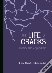 Capa do artigo Life Of Cracks